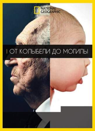 От колыбели до могилы онлайн